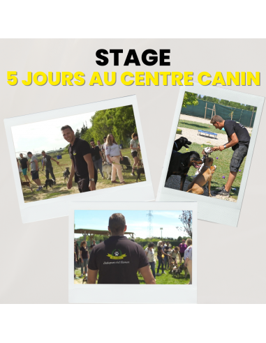 5 JOURS DE STAGES CLIENT AU CENTRE CANIN ou a consommer sur place