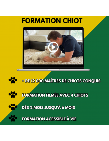 Formation Chiot Educ Dog (VSL) sélection de produits