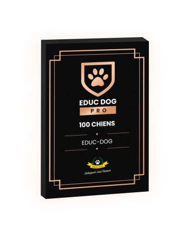 EDUC DOG PRO AWARD | NIVEAU 1 hantent personnes