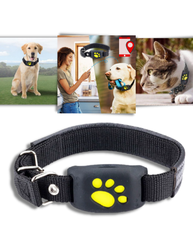 Collier de repérage GPS pour animaux de compagnie Comment ça marche