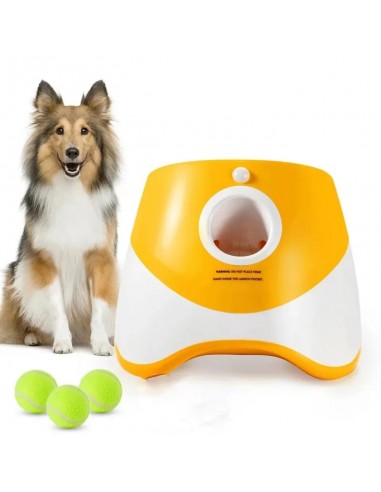 Lanceur de Balle Automatique pour Chien la livraison gratuite