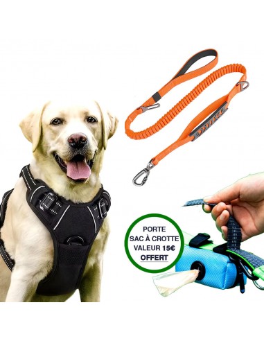 Pack Chien Qui Tire: Harnais Et Laisse Anti-Traction JUSQU'A -70%! 