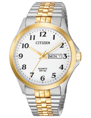 Citizen Gents/Mens Watch Model  :BF5004-93A suggérées chez