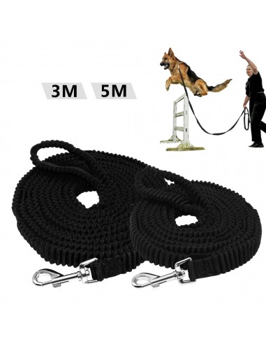 Laisse Agility Chien élastique 3 - 5m de pas cher