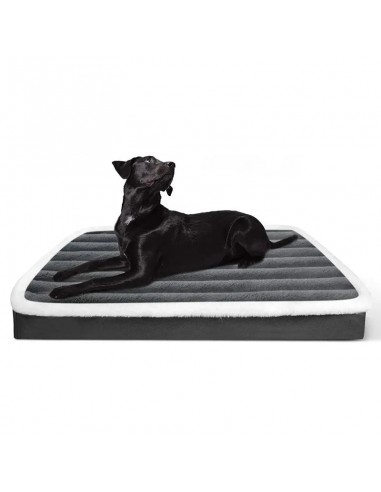 Matelas - Lit Orthopédique Chien Les magasins à Paris et en Île-de-France