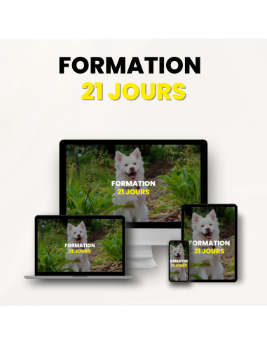 Formation 21 Jours Educ Dog Voir les baskets